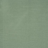Gleam Cactus by RM CoCo Designer Fabric Silken Styles 100% Polyester Horizontal: 0 and Vertical: 0 54 - Swanky Fabrics -
