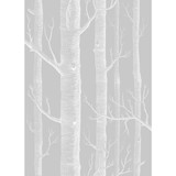 Woods Soft Grey by Cole & Son Designer Fabric COLE & SON CONTEMPORARY FABRICS LINEN - 61%;COTTON - 29%;NYLON - 10% Italy HEAVY Horizontal: 26.75 and Vertical: 37.4 53.5 - Swanky Fabrics -