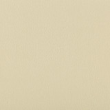 Lenox Papyrus by Kravet Contract Designer Fabric - SILICONE - 100% China HEAVY Horizontal: 0 and Vertical: 0 55 - Swanky Fabrics -