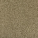 Lenox Bayleaf by Kravet Contract Designer Fabric