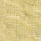 Nicaragua Verde Claro by Gaston Y Daniela Designer Fabric