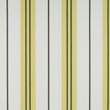 Burano Onyx/Amarillo by Gaston Y Daniela Designer Fabric