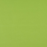 2469 Lime by Charlotte Designer Fabric All Seasons & Outdoor/Indoor Oasis II 100% Solution Dyed Woven Acrylic Italy Exceeds 140,000 Wyzenbeek Rubs (Heavy Duty) No Repeat 54 Inches - Swanky Fabrics -
