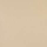 2477 Sand by Charlotte Designer Fabric All Seasons, Decorative Duck & Outdoor/Indoor Oasis II 100% Solution Dyed Woven Acrylic Italy Exceeds 140,000 Wyzenbeek Rubs (Heavy Duty) No Repeat 54 Inches - Swanky Fabrics -