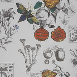 Linneo Original by Gaston Y Daniela Designer Wallcovering