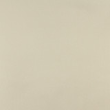 3108 Celery by Charlotte Designer Fabric Decorative Duck 100% Solution Dyed Acrylic Italy Exceeds 140,000 Wyzenbeek Rubs (Heavy Duty) No Repeat 54 Inches - Swanky Fabrics -