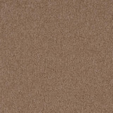 3205 Cafe by Charlotte Designer Fabric Ring Book Page #6 100% Woven Polyester Asia Exceeds 100,000 Wyzenbeek Rubs (Heavy Duty) No Repeat 54 Inches - Swanky Fabrics - 3205 Cafe by Charlotte Designer Fabric Ring Book Page #6 100% Woven Polyester Asia Exceeds 100,000 Wyzenbeek Rubs (Heavy Duty) No Repeat 54 Inches - Swanky Fabrics -