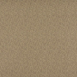 3827 Truffle by Charlotte Designer Fabric Decorative Durables XI 69% Olefin, 31% Polyester Made In USA Exceeds 150,000 Wyzenbeek Rubs (Heavy Duty) No Repeat 54 Inches - Swanky Fabrics -