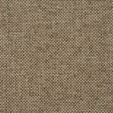 4100 Celadon by Charlotte Designer Fabric Decorative Durables X, Tweeds 100% Olefin Made In USA Exceeds 500,000 Wyzenbeek Rubs (Heavy Duty) No Repeat 54 Inches - Swanky Fabrics -