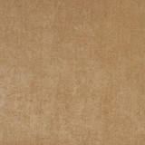 5153 Camel by Charlotte Designer Fabric Ring Book Page #41 100% Woven Polyester Asia Exceeds 130,000 Wyzenbeek Rubs (Heavy Duty) No Repeat 54 Inches - Swanky Fabrics -