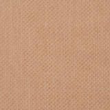 5594 Sand by Charlotte Designer Fabric Ring Book Page #29 100% Woven Polyester Asia Exceeds 100,000 Wyzenbeek Rubs (Heavy Duty) Horizontal: 0.25" x Vertical: 0.25" 54 Inches - Swanky Fabrics -