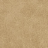 7411 Sand by Charlotte Designer Fabric Breathables 100% Breathable Polyurethane, 26oz. Asia Exceeds 250,000 Wyzenbeek Rubs (Heavy Duty) No Repeat 54 Inches - Swanky Fabrics -