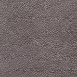 7428 Pewter by Charlotte Designer Fabric Breathables 100% Breathable Polyurethane, 26oz. Asia Exceeds 250,000 Wyzenbeek Rubs (Heavy Duty) No Repeat 54 Inches - Swanky Fabrics -