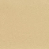 7594 Ecru by Charlotte Designer Fabric Heavy Duty Soft Touch Vinyl II 100% Virgin Vinyl, 30oz. Asia Exceeds 200,000 Wyzenbeek Rubs (Heavy Duty) No Repeat 54 Inches - Swanky Fabrics -