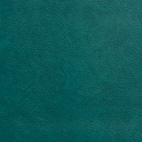 7964 Green by Charlotte Designer Fabric Heavy Duty Soft Touch Vinyl 100% Virgin Vinyl, 30oz. Asia Exceeds 200,000 Wyzenbeek Rubs (Heavy Duty) No Repeat 54 Inches - Swanky Fabrics -
