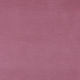 10001-02 by Charlotte Designer Fabric Cotton Velvet 100% Cotton, Velvet Made In USA Exceeds 100,000 Wyzenbeek Rubs (Heavy Duty) No Repeat 54 Inches - Swanky Fabrics -