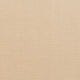 10280-02 by Charlotte Designer Fabric Galleria 57% Rayon, 43% Cotton Taiwan Exceeds 30,000 Wyzenbeek Rubs (Heavy Duty) No Repeat 54 Inches - Swanky Fabrics -