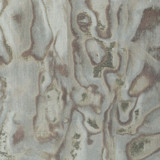 Abalone Frost by Winfield Thybony Designer Wallcovering