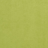 3724 Lime by Charlotte Designer Fabric Microsuede 100% Woven Polyester Asia Exceeds 200,000 Wyzenbeek Rubs (Heavy Duty) No Repeat 54 Inches - Swanky Fabrics - 3724 Lime by Charlotte Designer Fabric Microsuede 100% Woven Polyester Asia Exceeds 200,000 Wyzenbeek Rubs (Heavy Duty) No Repeat 54 Inches - Swanky Fabrics -