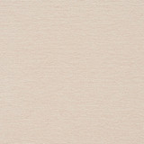 8424 Linen by Charlotte Designer Fabric Crypton Home 100% Woven Polyester Asia Exceeds 100,000 Wyzenbeek Rubs (Heavy Duty) No Repeat 54 Inches - Swanky Fabrics -