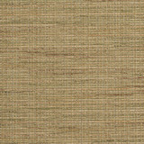 R150 Rosemary by Charlotte Designer Fabric Ring Book Page #23B 86% Polyester, 14% Acrylic Made In USA Exceeds 75,000 Wyzenbeek Rubs (Heavy Duty) No Repeat 54 Inches - Swanky Fabrics - R150 Rosemary by Charlotte Designer Fabric Ring Book Page #23B 86% Polyester, 14% Acrylic Made In USA Exceeds 75,000 Wyzenbeek Rubs (Heavy Duty) No Repeat 54 Inches - Swanky Fabrics -
