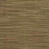 R152 Basil by Charlotte Designer Fabric Ring Book Page #23B 86% Polyester, 14% Acrylic Made In USA Exceeds 75,000 Wyzenbeek Rubs (Heavy Duty) No Repeat 54 Inches - Swanky Fabrics - R152 Basil by Charlotte Designer Fabric Ring Book Page #23B 86% Polyester, 14% Acrylic Made In USA Exceeds 75,000 Wyzenbeek Rubs (Heavy Duty) No Repeat 54 Inches - Swanky Fabrics -