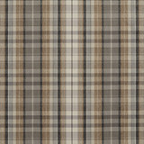 R160 Flannel by Charlotte Designer Fabric Ring Book Page #23B 100% Woven Polyester Made In USA Exceeds 75,000 Wyzenbeek Rubs (Heavy Duty) Horizontal: 13.5" x Vertical: 7.25" 54 Inches - Swanky Fabrics -