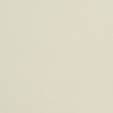 20940-01 by Charlotte Designer Fabric Crypton Woven Velvet 100% Woven Polyester Made In USA Exceeds 200,000 Wyzenbeek Rubs (Heavy Duty) No Repeat 54 Inches - Swanky Fabrics -