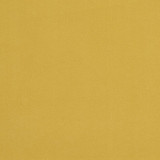 20940-19 by Charlotte Designer Fabric Crypton Woven Velvet 100% Woven Polyester Made In USA Exceeds 200,000 Wyzenbeek Rubs (Heavy Duty) No Repeat 54 Inches - Swanky Fabrics -