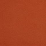 20940-36 by Charlotte Designer Fabric Crypton Woven Velvet 100% Woven Polyester Made In USA Exceeds 200,000 Wyzenbeek Rubs (Heavy Duty) No Repeat 54 Inches - Swanky Fabrics -