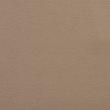 V109 Sandstone by Charlotte Designer Fabric Value Vinyl 100% Vinyl, 29oz. Lead Free Asia Exceeds 100,000 Wyzenbeek Rubs (Heavy Duty) No Repeat 54 Inches - Swanky Fabrics -