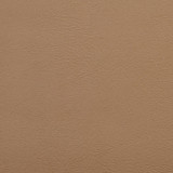 V125 Dune by Charlotte Designer Fabric Value Vinyl 100% Vinyl, 29oz. Lead Free Asia Exceeds 100,000 Wyzenbeek Rubs (Heavy Duty) No Repeat 54 Inches - Swanky Fabrics -