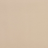 V128 Bisque by Charlotte Designer Fabric Value Vinyl 100% Vinyl, 29oz. Lead Free Asia Exceeds 100,000 Wyzenbeek Rubs (Heavy Duty) No Repeat 54 Inches - Swanky Fabrics -