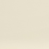 V140 Ivory by Charlotte Designer Fabric Value Vinyl 100% Vinyl, 29oz. Lead Free Asia Exceeds 100,000 Wyzenbeek Rubs (Heavy Duty) No Repeat 54 Inches - Swanky Fabrics -