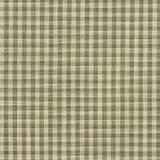 D119 Juniper Gingham by Charlotte Designer Fabric Clubhouse Collection 100% Woven Polyester Asia Exceeds 120,000 Wyzenbeek Rubs (Heavy Duty) Horizontal: .5" x Vertical: .5" 54 Inches - Swanky Fabrics -