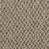 R251 Lexington by Charlotte Designer Fabric Ring Book Page #17B 100% Woven Polyester Asia Exceeds 80,000 Wyzenbeek Rubs (Heavy Duty) No Repeat 54 Inches - Swanky Fabrics -