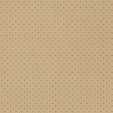 V400 Taupe Perforated by Charlotte Designer Fabric Automotive Vinyl 100% Virgin Vinyl, 30oz. Asia Exceeds 220,000 Wyzenbeek Rubs (Heavy Duty) No Repeat 54 Inches - Swanky Fabrics -