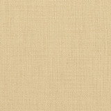 31000-03 by Charlotte Designer Fabric Natural Textures 55% Linen, 45% Cotton Asia Exceeds 60,000 Wyzenbeek Rubs (Heavy Duty) No Repeat 54 Inches - Swanky Fabrics -