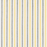 30070-03 by Charlotte Designer Fabric Woven Acrylics 100% Solution Dyed Acrylic Spain Exceeds 60,000 Wyzenbeek Rubs (Heavy Duty) Horizontal: 1" 54 Inches - Swanky Fabrics -