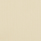 D868 Cream by Charlotte Designer Fabric Contemporary Wovens II 100% Woven Polyester Asia Exceeds 35,000 Wyzenbeek Rubs (Heavy Duty) No Repeat 54 Inches - Swanky Fabrics -