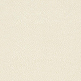 D895 Pebble/Buff by Charlotte Designer Fabric Durables III 100% Woven Polyester Made In USA Exceeds 100,000 Wyzenbeek Rubs (Heavy Duty) No Repeat 54 Inches - Swanky Fabrics -