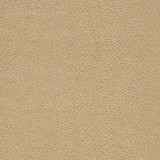 D902 Pebble/Taupe by Charlotte Designer Fabric Durables III 100% Woven Polyester Made In USA Exceeds 100,000 Wyzenbeek Rubs (Heavy Duty) No Repeat 54 Inches - Swanky Fabrics -