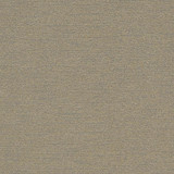 D903 Ravine/Granite by Charlotte Designer Fabric Durables III 100% Woven Polyester Made In USA Exceeds 100,000 Wyzenbeek Rubs (Heavy Duty) No Repeat 54 Inches - Swanky Fabrics -