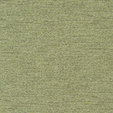 D907 Ravine/Thyme by Charlotte Designer Fabric Durables III 100% Woven Polyester Made In USA Exceeds 100,000 Wyzenbeek Rubs (Heavy Duty) No Repeat 54 Inches - Swanky Fabrics -