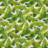 D948 Palm by Charlotte Designer Fabric Prints & Wovens 100% Acrylic Asia Exceeds 30,000 Wyzenbeek Rubs (Heavy Duty) Horizontal 26.5" x Vertical 25" 54 Inches - Swanky Fabrics - D948 Palm by Charlotte Designer Fabric Prints & Wovens 100% Acrylic Asia Exceeds 30,000 Wyzenbeek Rubs (Heavy Duty) Horizontal 26.5" x Vertical 25" 54 Inches - Swanky Fabrics -