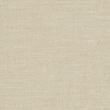 R285 Sand by Charlotte Designer Fabric Ringbook Page #14b 100% Woven Polyester Asia Exceeds 120,000 Wyzenbeek Rubs (Heavy Duty) No Repeat 54 Inches - Swanky Fabrics -