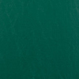 V460 Marine by Charlotte Designer Fabric Marine Vinyl 100% Virgin Vinyl, 33oz. Asia Exceeds 220,000 Wyzenbeek Rubs (Heavy Duty) No Repeat 54 Inches - Swanky Fabrics -