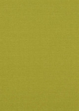 Lansdowne Lime by Baker Lifestyle Designer Fabric