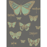 Butterflies & Dragonflies Green On Char by Cole & Son Designer Wallcovering