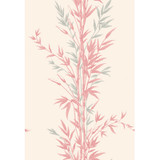 Bamboo Pink by Cole & Son Designer Wallcovering